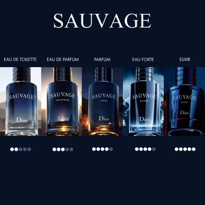 DIOR Sauvage Eau de Parfum 100ml