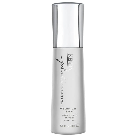 Blow-Dry Spray Frizz Control Heat Protectant